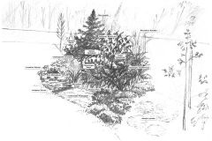 Návrhy zahrad (ukázka)